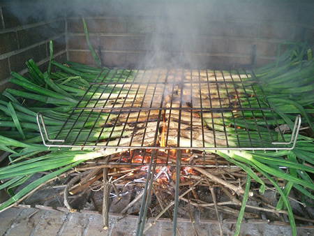 calçots