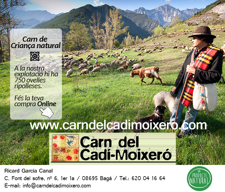 Carn Moixero